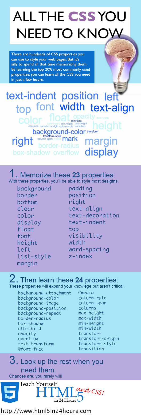 All the CSS You Need to Know 