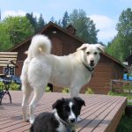 Shasta and McKinley Hi Res
